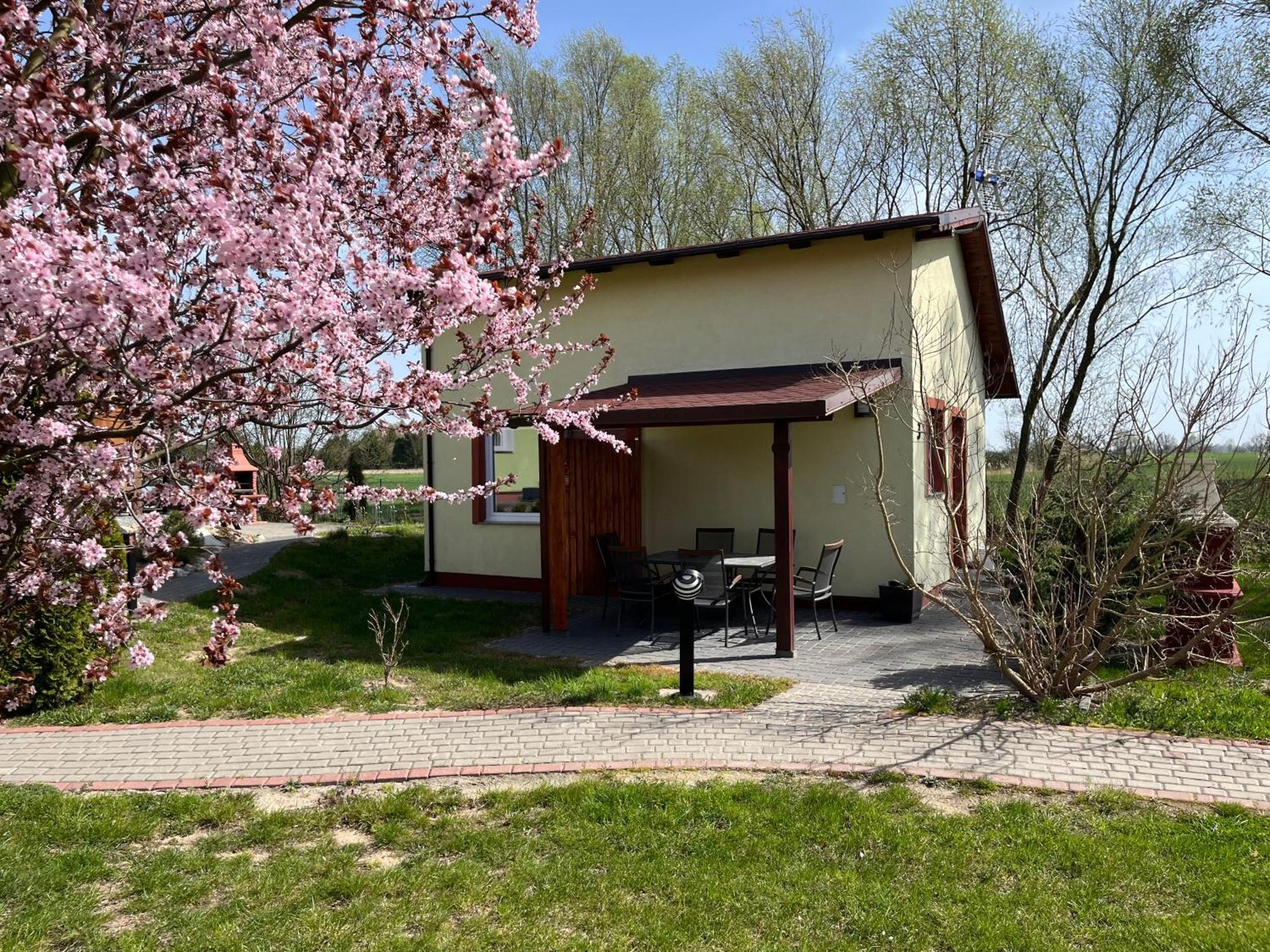 Domki I Pokoje Goscinne A A Malinowscy Stegna  Buitenkant foto